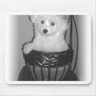 MaltiPoo produkter Musmatta