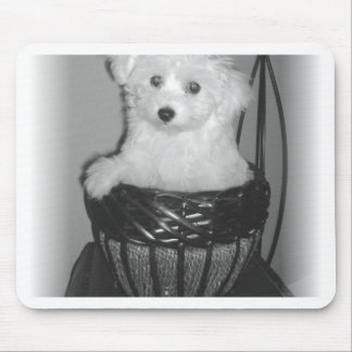 MaltiPoo produkter Musmatta