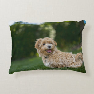 Maltipoo Prydnadskudde