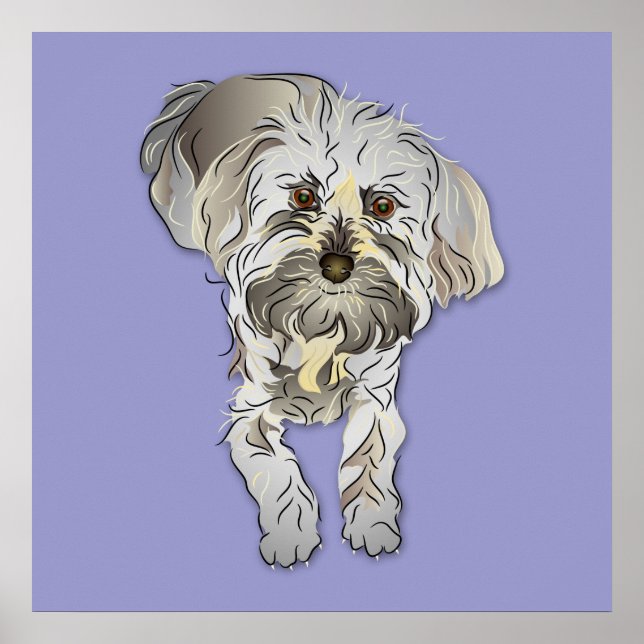 Maltipoo Puppy Poster (Framsidan)