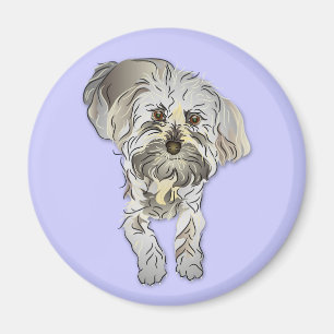 Maltipoo valp magnet