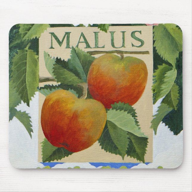 Malus Musmatta (Framsidan)