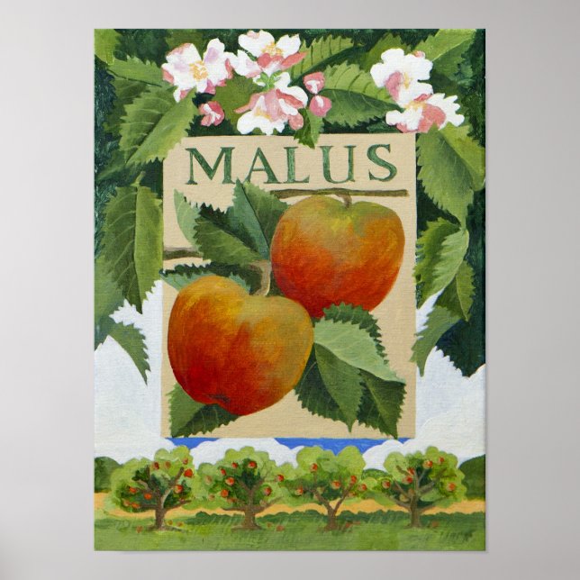 Malus Poster (Framsidan)