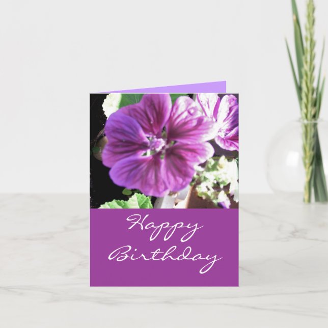 Malve -happy birthday kort (Framsida)