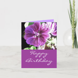Malve -happy birthday kort