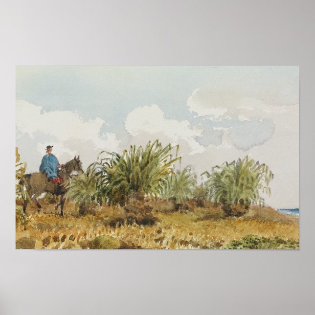 malvinas poster (Framsidan)