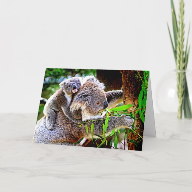 Mama Koala och Baby Joey i ett träd, Kort (Framsida)