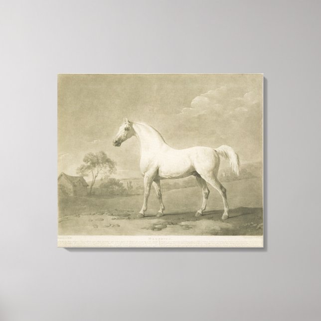 Mambrino, efter George Stubbs, 1788 (mezzotint) Canvastryck (Framsida)