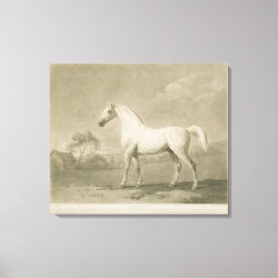 Mambrino efter George Stubbs, 1788 (mezzotinten) Canvastryck