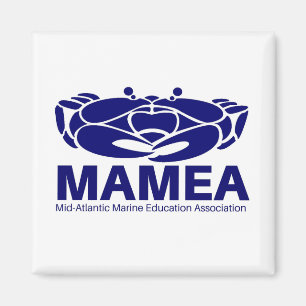 MAMEA-magnet (kvadrera), Magnet
