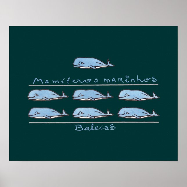 mamíferos marinhos - baleias poster (Framsidan)