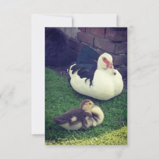 Mamma anka, baby och rumpa. kort