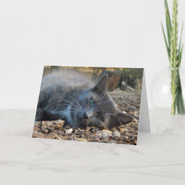 Mamma är ett Loved Adsible Cat Mors dag Card Helgkort