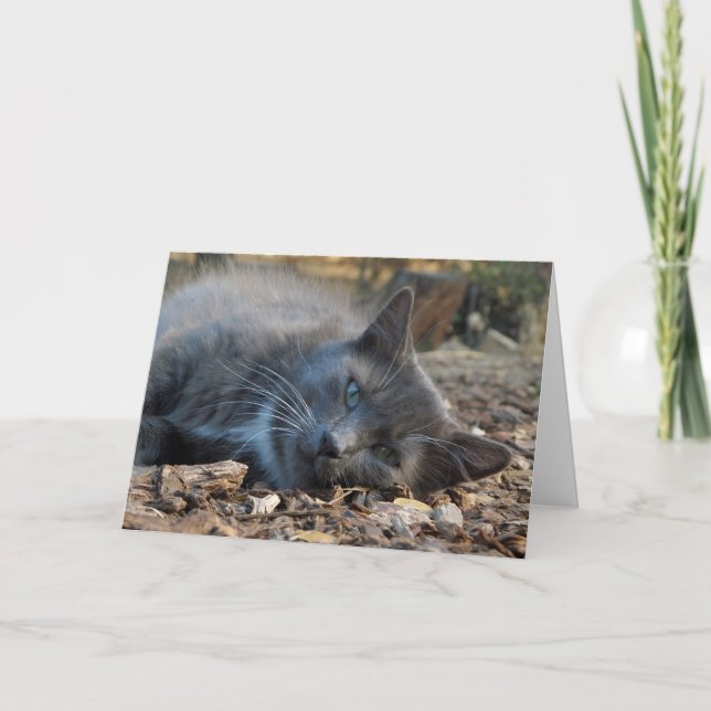 Mamma är ett Loved Adsible Cat Mors dag Card Helgkort (Framsida)