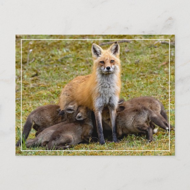 Mamma är som vykort (Framsida)