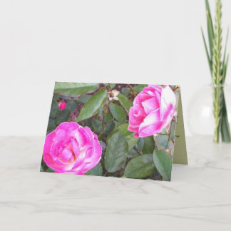 Mamma: att tänka på dig från långt håll kort