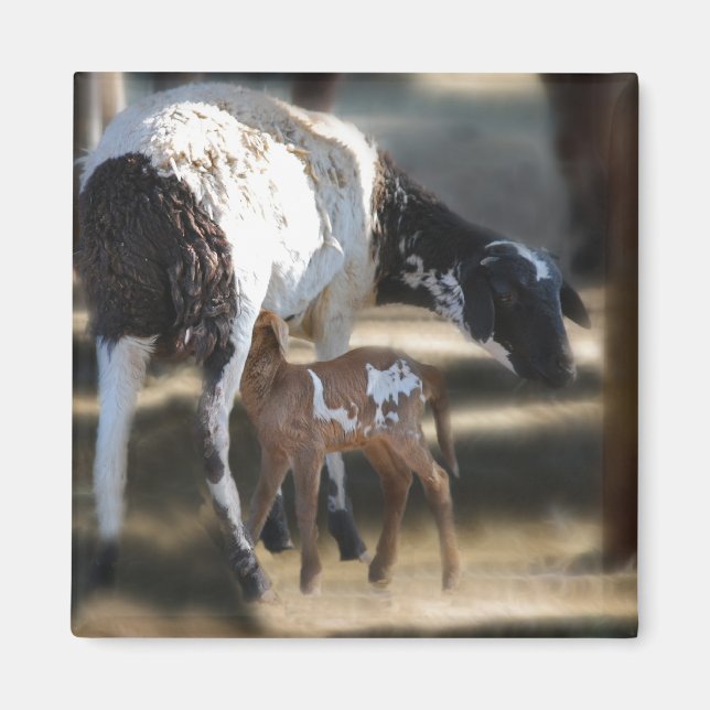 Mamma & Baby Goat Magnet (Framsidan)