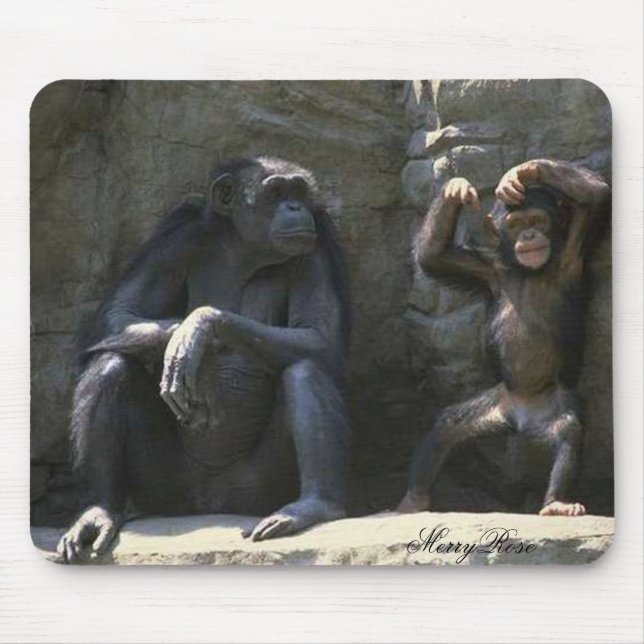 Mamma- & babyapa musmatta (Framsidan)