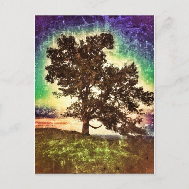 mamma Beech Vykort (Framsida)