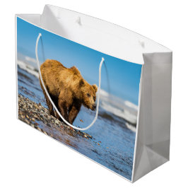 Mamma björn tittar på hennes två barn