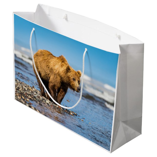 Mamma björn tittar på hennes två barn (Baksidan Vinklad)