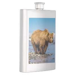 Mamma björn tittar på hennes två barn fickplunta