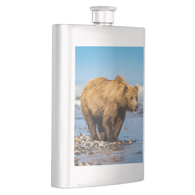 Mamma björn tittar på hennes två barn fickplunta (Höger)