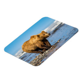 Mamma björn tittar på hennes två barn magnet