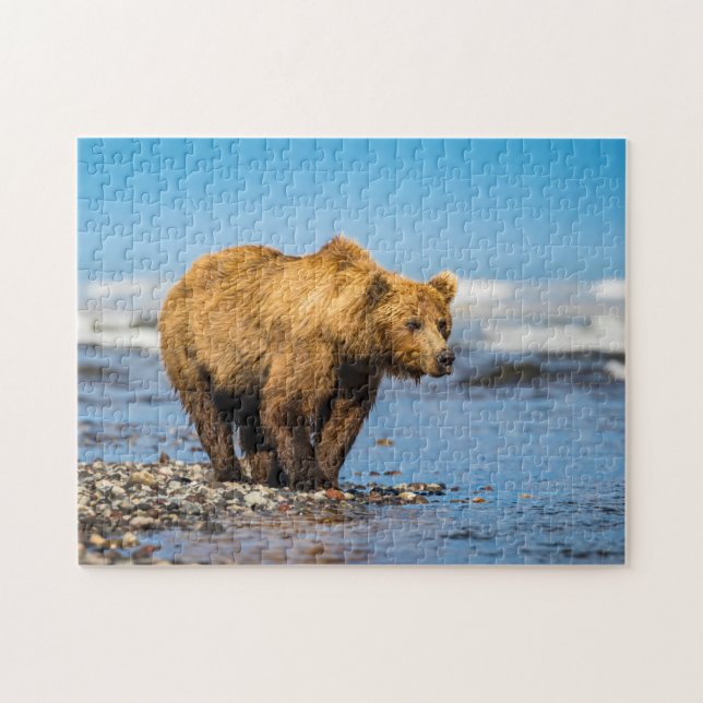 Mamma björn tittar på hennes två barn pussel (Horisontell)