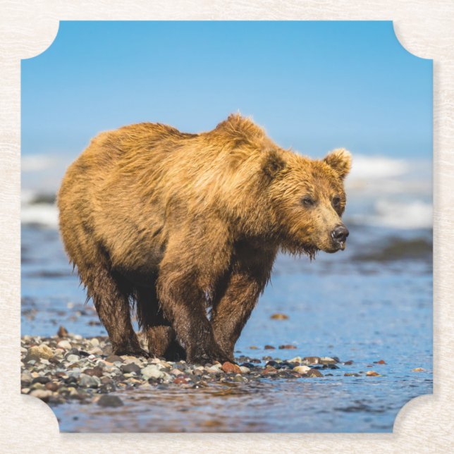 Mamma björn tittar på hennes två barn underlägg papper (Framsida)