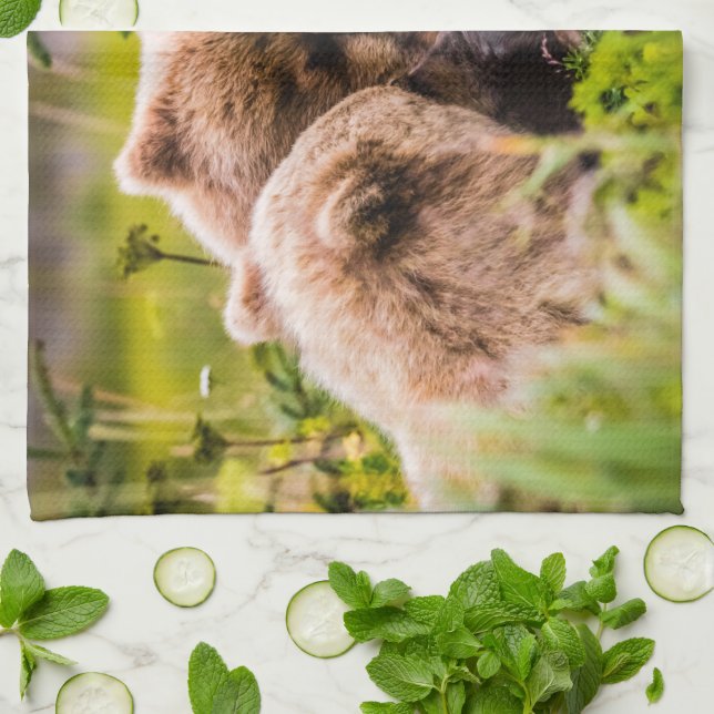 Mamma björn vårdar henne två unge, Sjö Clark Natio Kökshandduk (Vikta)