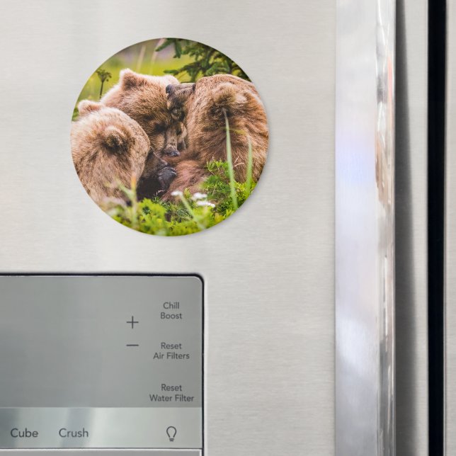 Mamma björn vårdar henne två unge, Sjö Clark Natio Magnet (In Situ (Fridge))