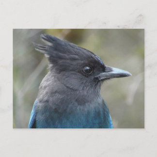 Mamma Blue-vykort Vykort
