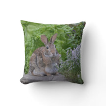 Mamma Bunny