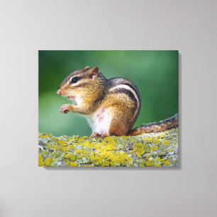 Mamma Chipmunk Canvastryck