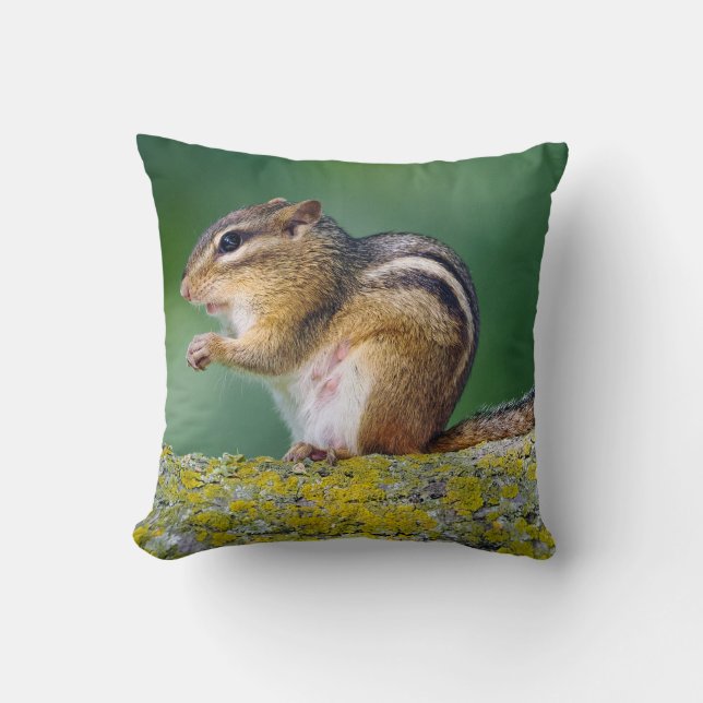 Mamma Chipmunk Kudde (Framsida)