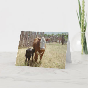 Mamma Cow and Calf Tack Kort