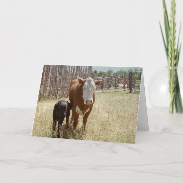 Mamma Cow and Calf Tack Kort (Framsida)