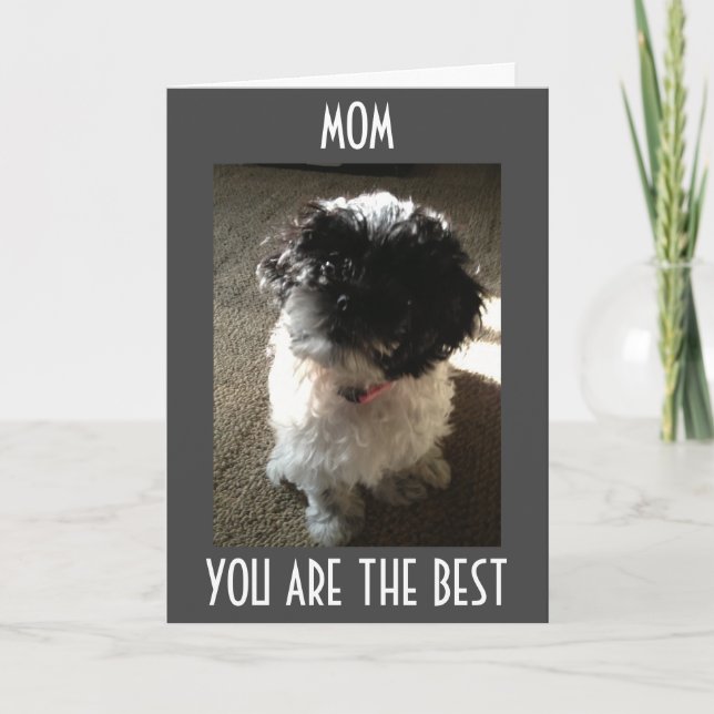 MAMMA ENDAST BÄSTA FÖR BÄSTA MAMMA BIRTHDAY KORT (Framsida)