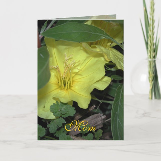 Mamma födelsedag kort (Framsida)