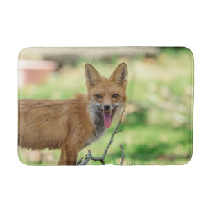 Mamma Fox i Hudson Valley Badrumsmatta