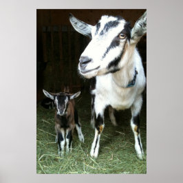 Mamma Goat med Baby Ginger Poster