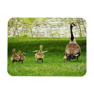 Mamma Goose och Goofy Baby Magnet