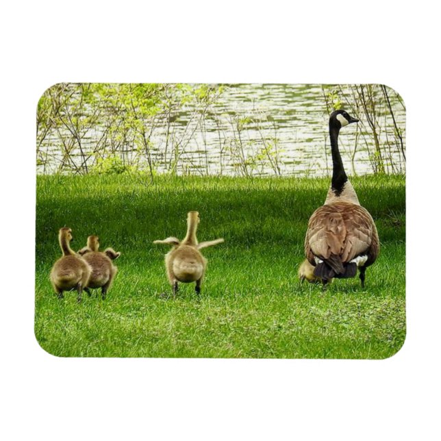 Mamma Goose och Goofy Baby Magnet (Horisontell)