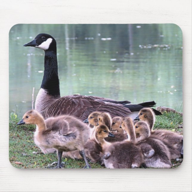 Mamma Goose och Spädbarn Musmatta (Framsidan)