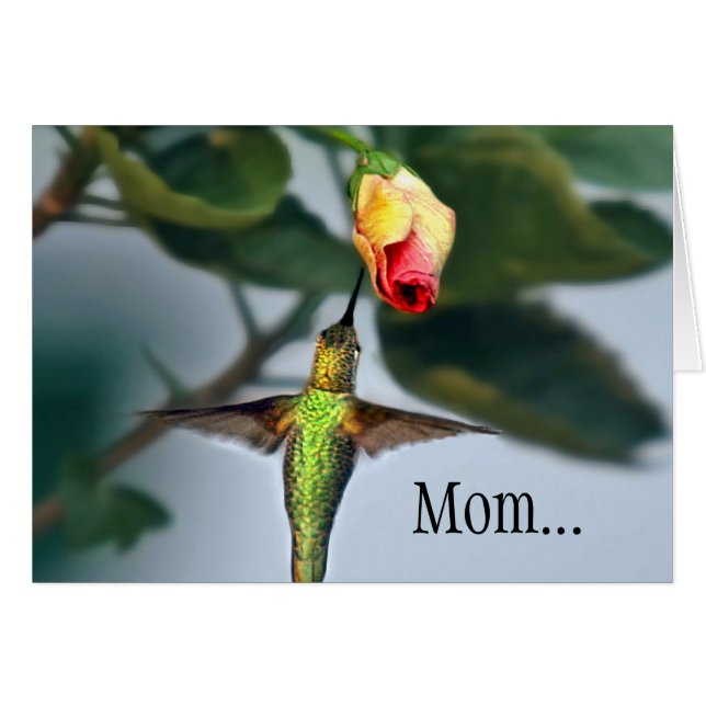 Mamma Hummingbird Hälsningskort (Framsidan Horizontal)