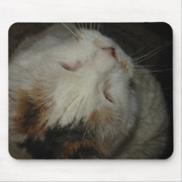 Mamma, jag sover!! katt musmatt musmatta