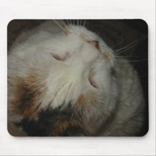 Mamma, jag sover!! katt musmatt musmatta