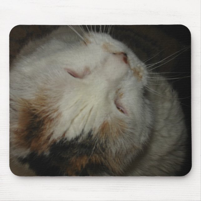 Mamma, jag sover!! katt musmatt musmatta (Framsidan)