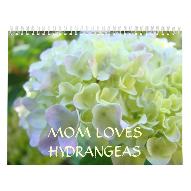 MAMMA KÄRLEK HYDRANGEAS-kalendrar - nytt år Kalender (Omslag)